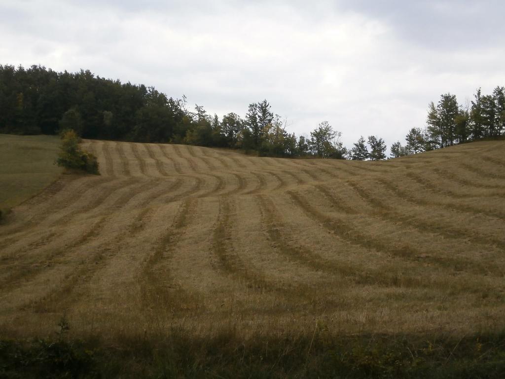 Societa Agricola Cacigolara Villa Borgo Val di Taro Eksteriør bilde