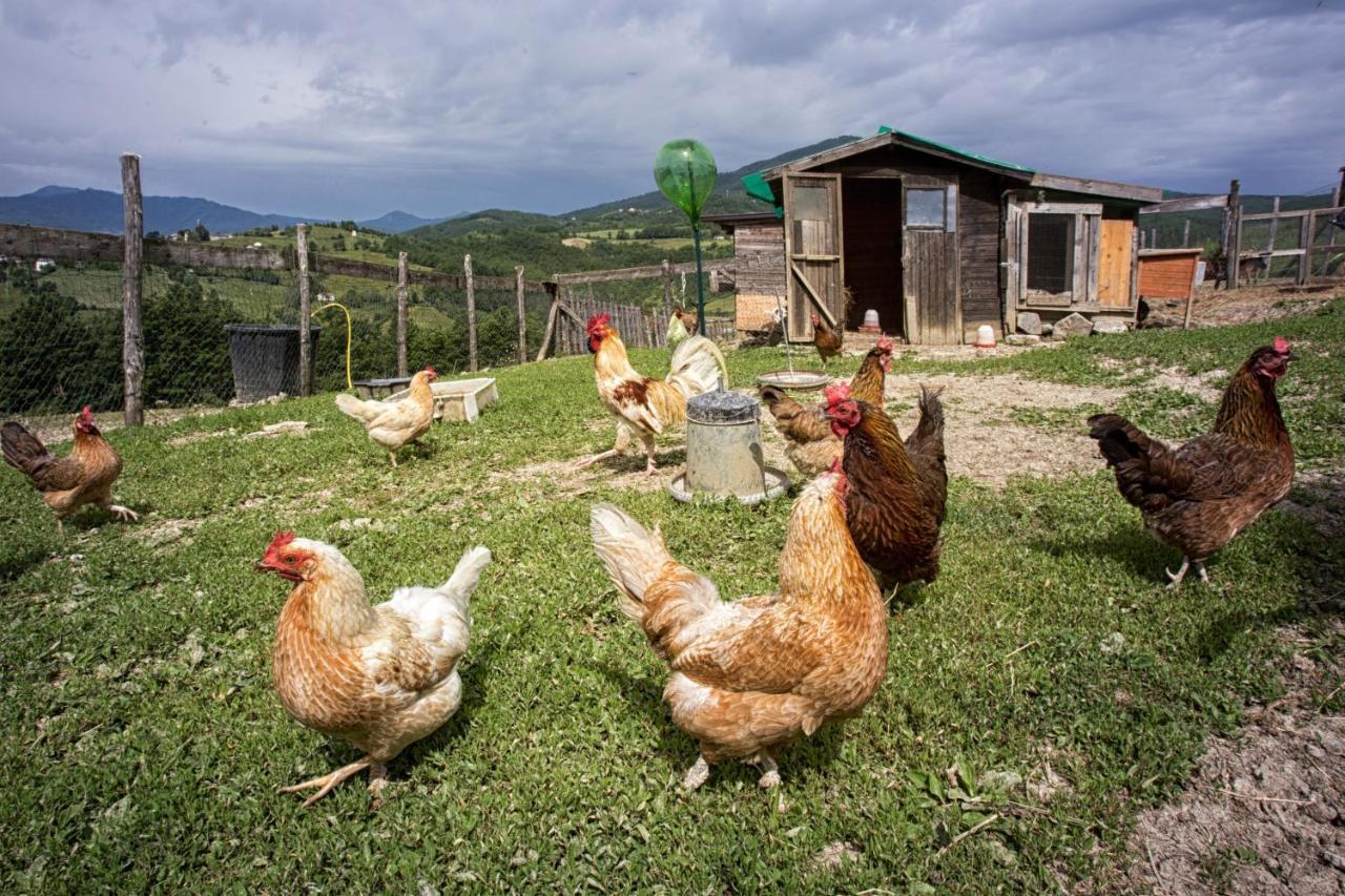 Societa Agricola Cacigolara Villa Borgo Val di Taro Eksteriør bilde